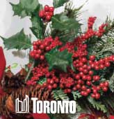 Free Admission with Food Bank Donation: Christmas Flower Show '10