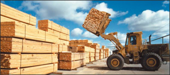 Northern Ontario's Newfound Forestry Jobs Deem Provincial Wood Supply Worthwhile