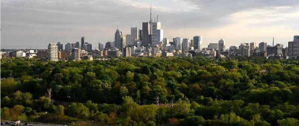 Celebrate the Beauty of Toronto's Urban Forest at Canada Blooms 2011