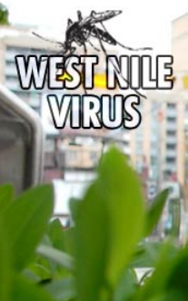 First Reported Human Case of West Nile Virus in Toronto