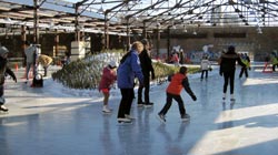 2 for 1 Skate Rentals at Evergreen Brick Works Ice Skating Rink All Winter Long!