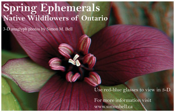 You're Invited: 3D Photo Exhibit “Spring Ephemerals: Ontario’s Native Wildflowers” May 25, 2012. © Simon Bell