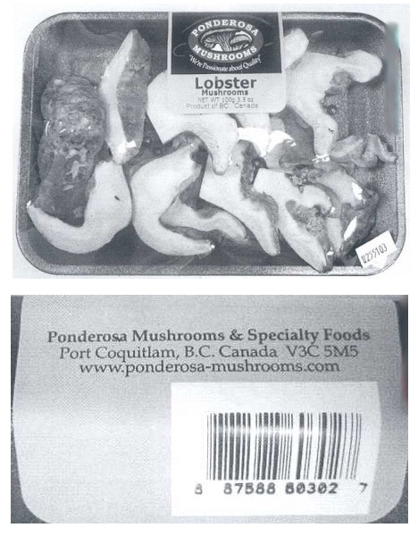 Ponderosa Mushrooms & Specialty Foods - sliced Lobster mushrooms /  Ponderosa Mushrooms & Specialty Foods - champignons « Lobster » tranché