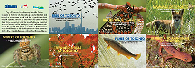 Biodiversity in the City of Toronto