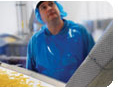 CFIA's image: Canada's food safety regulations for food industry