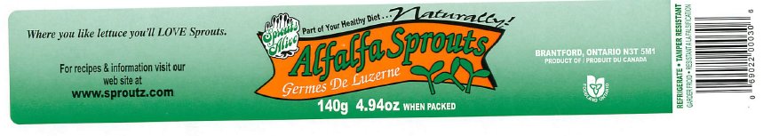 SproutsAlive brand alfalfa sprouts / germes de luzerne de marque SproutsAlive
