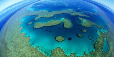Avaaz's image: An urgent threat to the Great Barrier Reef.