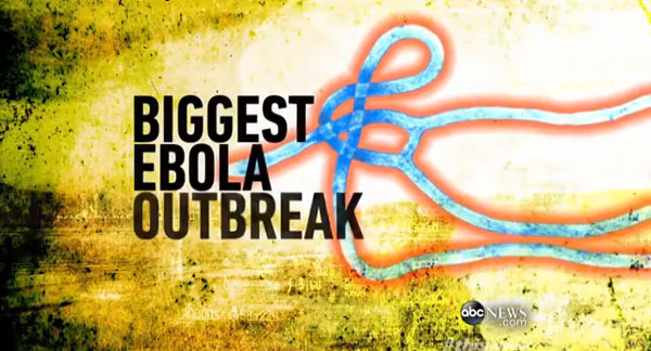 Electron Microscope Image of Ebola Virus: Image extracted from abc News video “Ebola Outbreak: Epidemic ‘Out of Control’.” (In reality, Ebola is neither blue, red nor white. Colours are added as visual aids.)