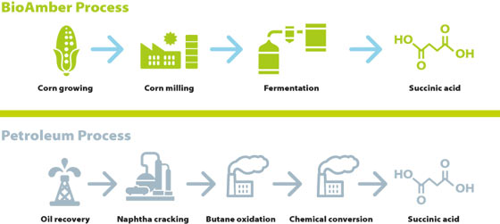 Sustainability Life Cycle Analysis: A Carbon Neutral Footprint. Image Courtesy of BioAmber